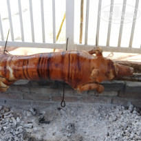 фото из отзыва ID 2034724