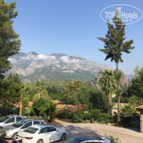 фото из отзыва ID 2034729