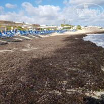 фото из отзыва ID 2034783