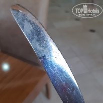 фото из отзыва ID 2034849