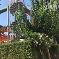 фото из отзыва ID 2034835