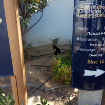 фото из отзыва ID 2034979