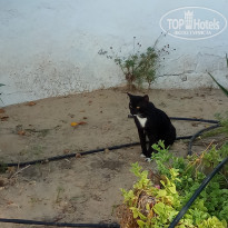 фото из отзыва ID 2034979