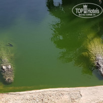 фото из отзыва ID 2034979