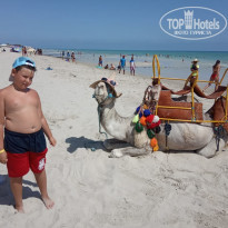 фото из отзыва ID 2034979