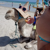 фото из отзыва ID 2034979