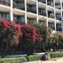 фото из отзыва ID 2035101