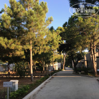 фото из отзыва ID 2035189