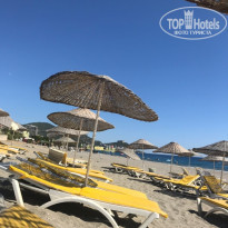 фото из отзыва ID 2035216