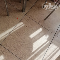 фото из отзыва ID 2035269