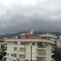 фото из отзыва ID 2035288