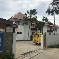 фото из отзыва ID 2035088