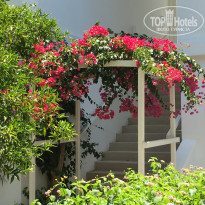 фото из отзыва ID 2035415