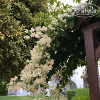 фото из отзыва ID 2035415