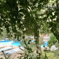 фото из отзыва ID 2035415