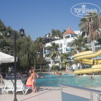 фото из отзыва ID 2035428