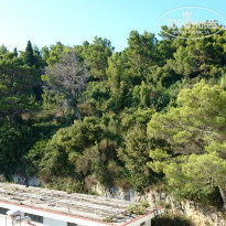 фото из отзыва ID 2035439