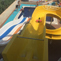 фото из отзыва ID 2035603