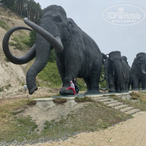 фото из отзыва ID 2035766