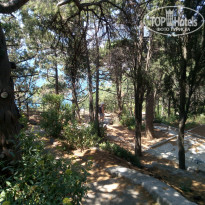 фото из отзыва ID 2035767