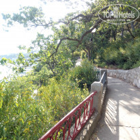 фото из отзыва ID 2035767