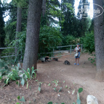 фото из отзыва ID 2035767