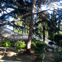 фото из отзыва ID 2035767