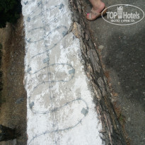 фото из отзыва ID 2035767