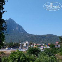 фото из отзыва ID 2035903