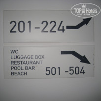 фото из отзыва ID 2030777