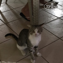 фото из отзыва ID 2035925