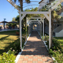 фото из отзыва ID 2035973