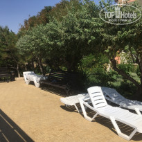 фото из отзыва ID 2036015