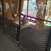 фото из отзыва ID 2036015