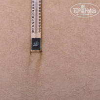 фото из отзыва ID 2036015