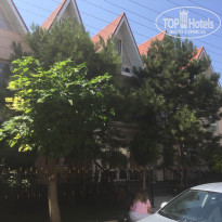 фото из отзыва ID 2036015