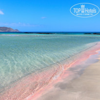 фото из отзыва ID 2030777