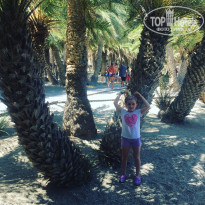 фото из отзыва ID 2036143