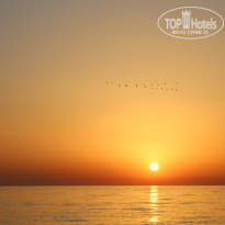 фото из отзыва ID 2035940