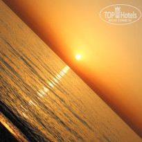 фото из отзыва ID 2035940