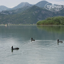 фото из отзыва ID 2036176