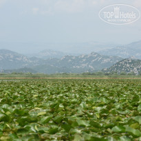 фото из отзыва ID 2036176