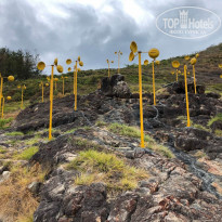 фото из отзыва ID 2036192