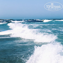 фото из отзыва ID 2036271