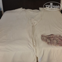 фото из отзыва ID 2031736