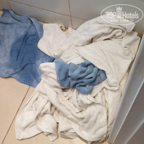 фото из отзыва ID 2031736