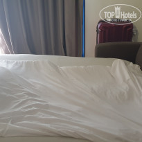 фото из отзыва ID 2031736