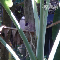 фото из отзыва ID 2036344