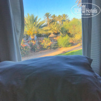 фото из отзыва ID 2036385