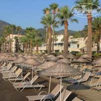 фото из отзыва ID 2036392